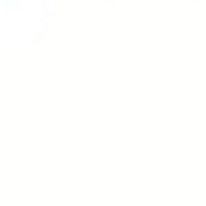 Meet your Posher, Alai